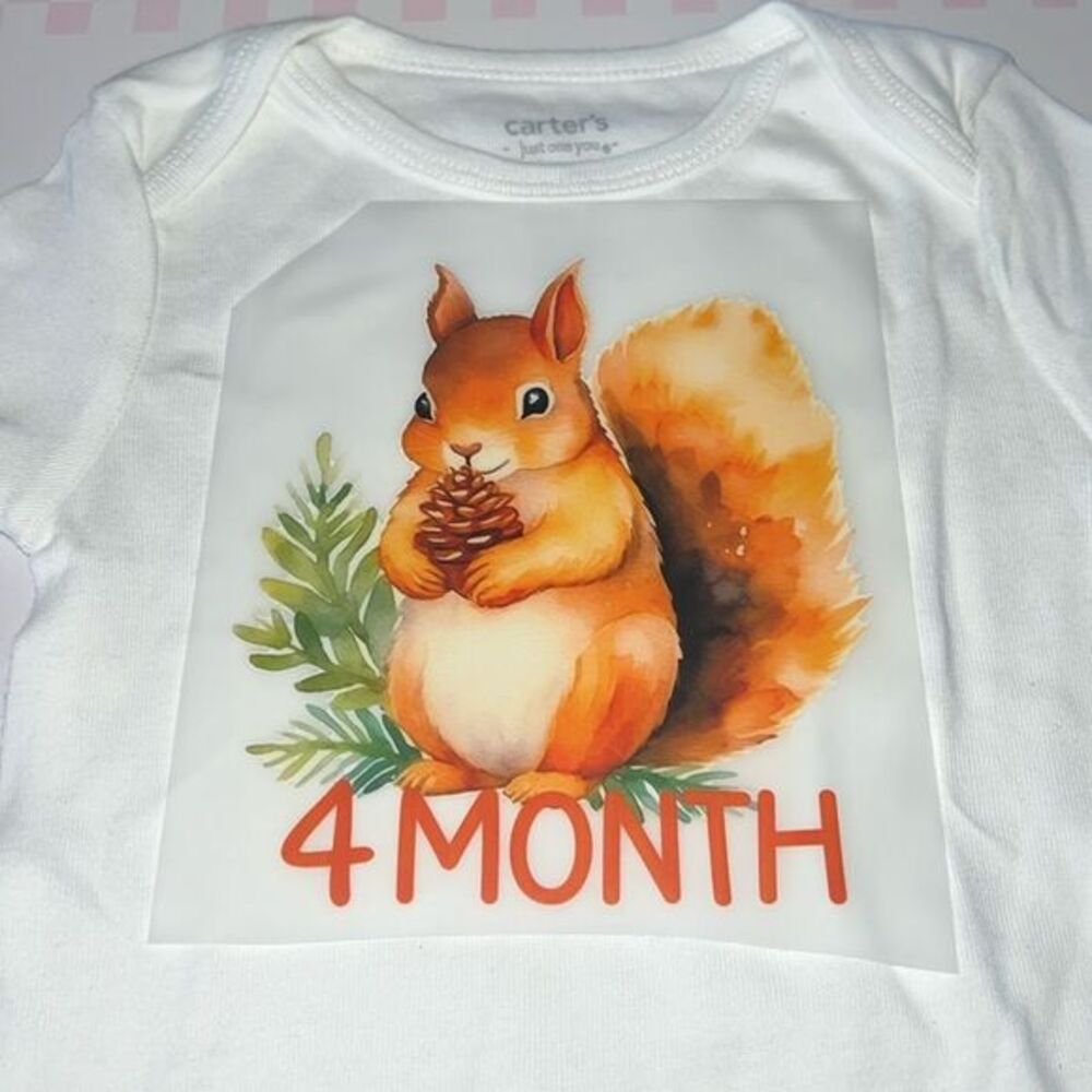 You pick size- made to order baby onesie milestone 4 months